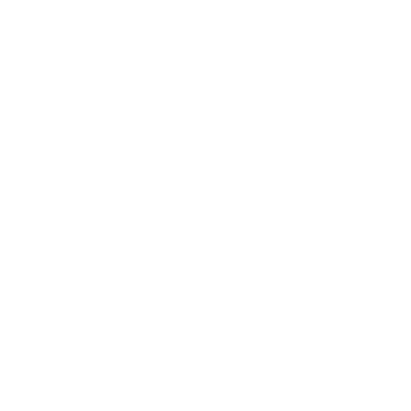 Record 80-х