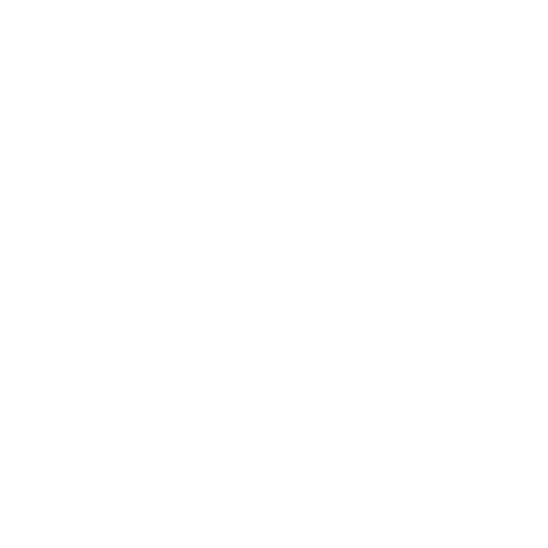 Lady Waks