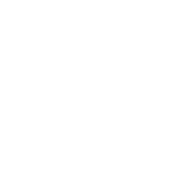 Martin Garrix