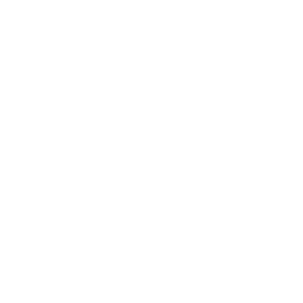Ultra Music Festival
